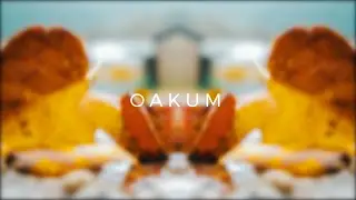 OAKUM - Yellow Orange & Red