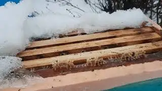 вотак бывает