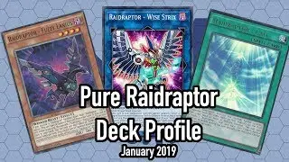 Raidraptor Deck Profile January 2019 (with Wise Strix)
