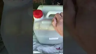Москва и МО, Кому Качественное масло для Р12, Альмер, обращайтесь