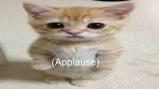 Youtube Captions Be Like: