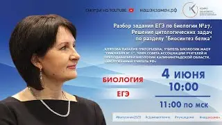 Разбор задания ЕГЭ по биологии № 27. Решение цитологических задач по разделу 