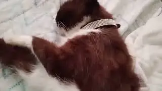 Моя любофьььь..Манечка