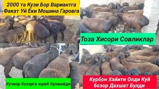 Сурхондарё Сариосиё Куй бозори нархлари. 30.06.2022й