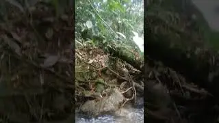 moga kejernihannye berkekalan #