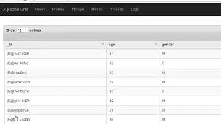 53 Activity Querying across multiple databases with Drill