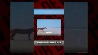 25 ДЕНЬ - СОФТ ЛОУНЧИ И БАГИ