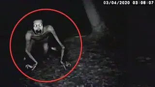 14 SCARIEST Creature Encounters Caught While Camping | Scary Comp V23