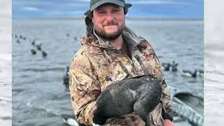 Pacific Brant Hunting Izembek lagoon  in Izembek national Wildlife refuge