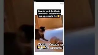 toma no pé do ouvido #animals #motivation #youtubeshorts