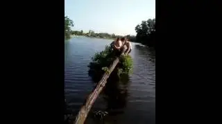 Однажды в березовке