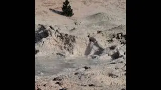 mudpits yellowstone