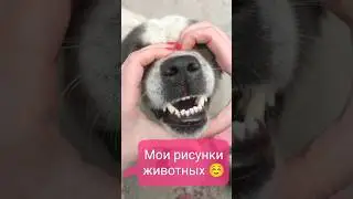 Рисунки животных 🥰 Animal drawings #shorts #shortsart #animals