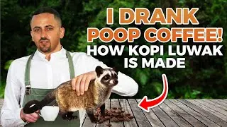I Drank Poop Coffee In Bali !!! (How Kopi Luwak Is Made)