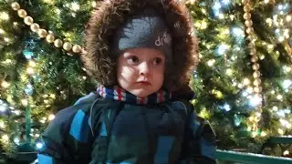 Занимаемся с Ромой/Новогодний костюм/Гуляем по городу с семьёй