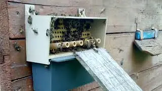 VID 20210515 141242