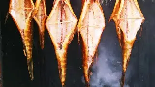 How to smoke fish hot? Hot smoking of fish.