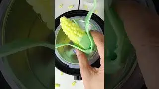 Corn Wax Melt