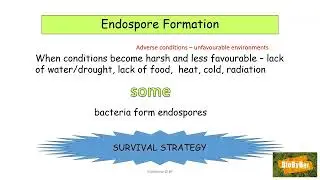 L.C. Biology Endospores