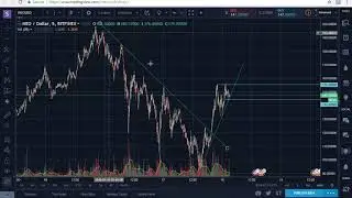 NEO/USD