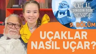 Uçaklar nasıl uçar? - Prof. Dr. Celal Şengör ile Dinozor Dede, Ebrar Demirbilek'in sunumuyla