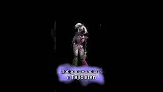 Фнаф. Таджикистан #fnaf #фнаф #хочуврек #мишкфреде