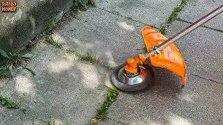 DIY Gardening Hacks Revealed | Backyard Project