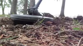 Metal Detecting : Beginner to Beginner = Memphis, Michigan