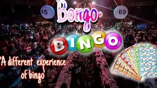 BONGO BINGO  / should you try this out?
