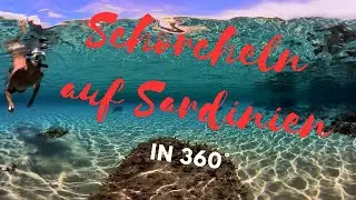 Schnorcheln auf Sardinien in 360°