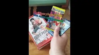 Zarpamos hacia el tesoro del Coleccionismo. El One Piece sera encontrado