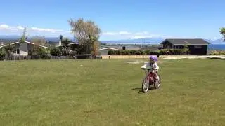 Gwynny's first 2 wheeled ride