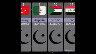 Top 10 Largest Muslim Populations In World #shorts#short#treanding#viral#shortsfeed#ytshorts