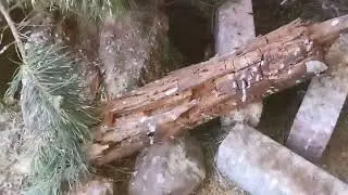 Вольер