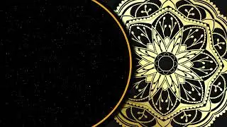 No Copyright Motion Graphics | Floral Corner Background Video Loops |