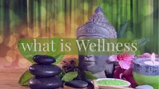 what is Wellness