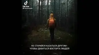 Мудрые слова, цитаты и высказывания ##цитаты #афоризмы #хадисы #религиозные #исламские