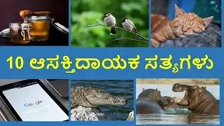 10 ಅಪರಿಚಿತ  ಮತ್ತು ಆಸಕ್ತಿದಾಯಕ ಸತ್ಯಗಳು | 10 Unknown  Facts in Kannada | kannada Planet