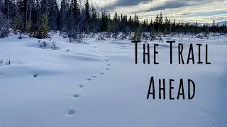 Adventures in Store for 2024 on AKWild1