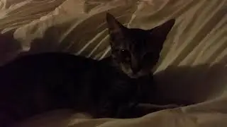 Snuggling with Rocky