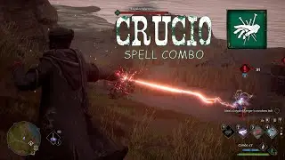 How to use Crucio spell with spell combo