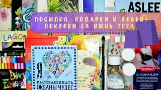 Посылка из России, подарки и хобби-покупки за июнь 2024