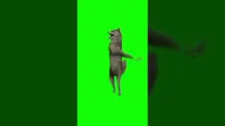 #волк
