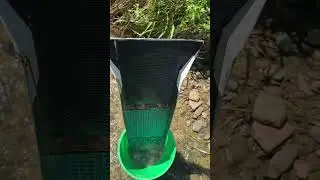Wisconsin gold mining. Ring casting dream. Can I find enough gold?
