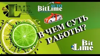 В чем суть работы в Lime Company