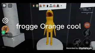 Gameplay Frogge Game / frogge roblox