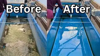 Satisfying video -- Cleaning out aquaponics dwc grow beds  - [aquaponic gardening] #aquaponics