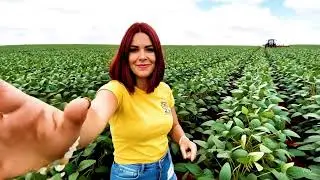 A inteligencia artificial agora pode fazer a sau publicidade.