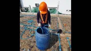 Anti-Termite Treatment Of Our Construction Site. Climate Change, animals, Inside Edition,