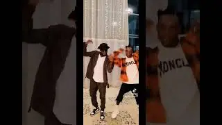 #ziglipata